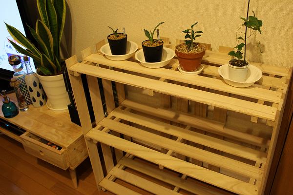 DIY シェルフ