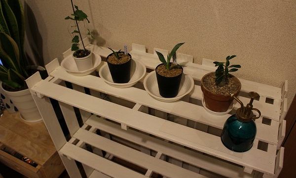 すのこ DIY