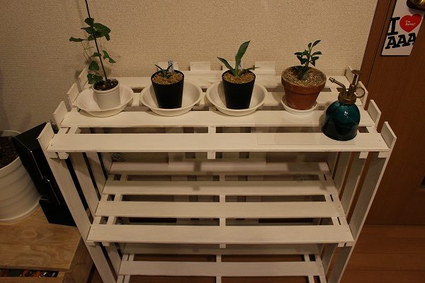 すのこ DIY