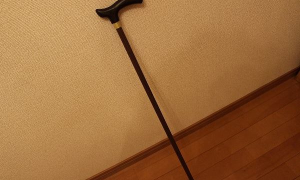 杖