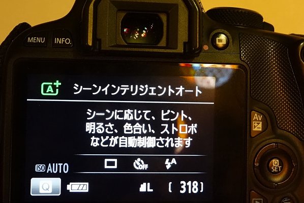 cannon EOS Kiss x7